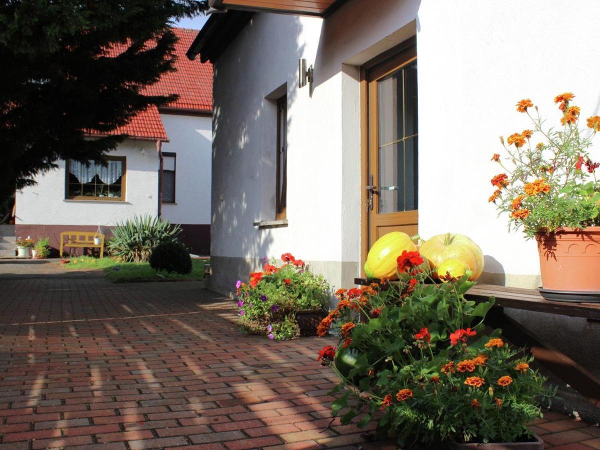 Ferienhaus Christine Schenkendobern 外观 照片