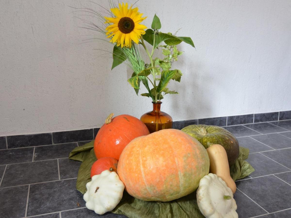Ferienhaus Christine Schenkendobern 外观 照片
